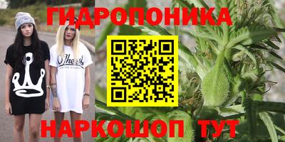 соль ск Дубна